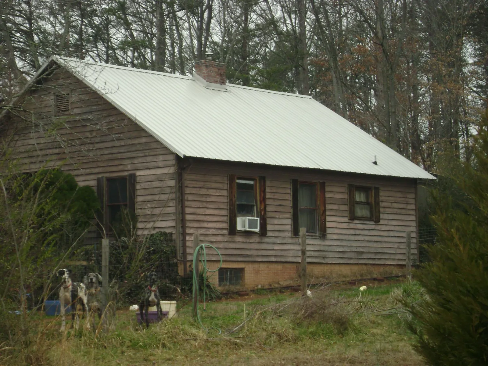 White metal roof on an old wood sided farmhouse, from a Asphalt Shingle Roof Repair job in Oakmont
